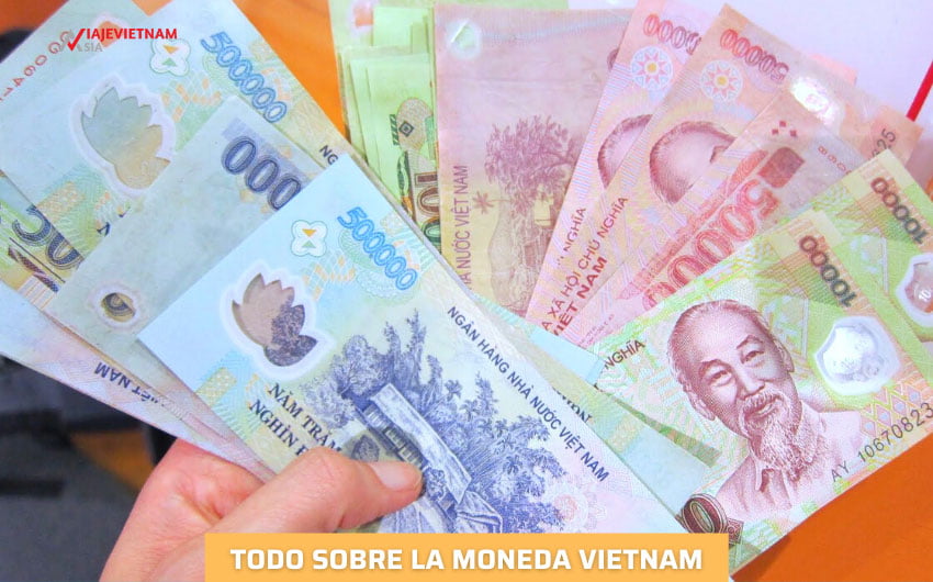 Moneda Vietnam