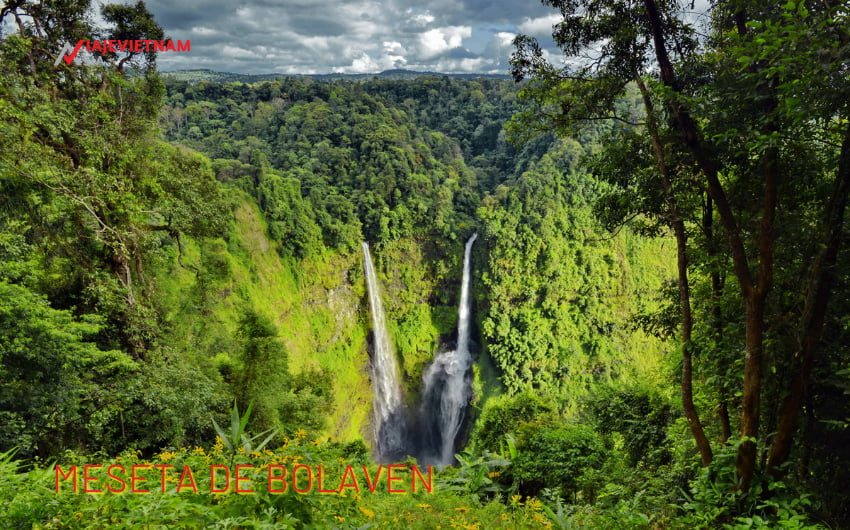 Qué ver en Champasak: Meseta de Bolaven