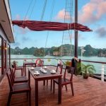 orchid trendy cruise 1