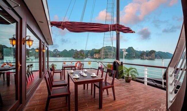 orchid trendy cruise 1