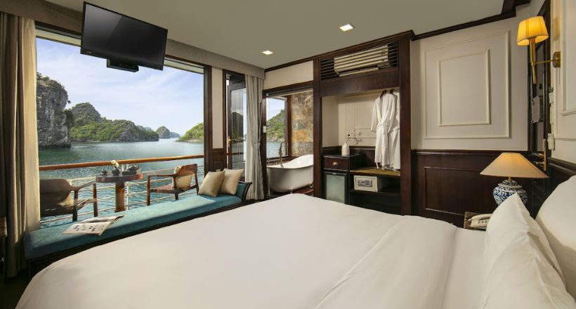 orchid trendy cruise 6